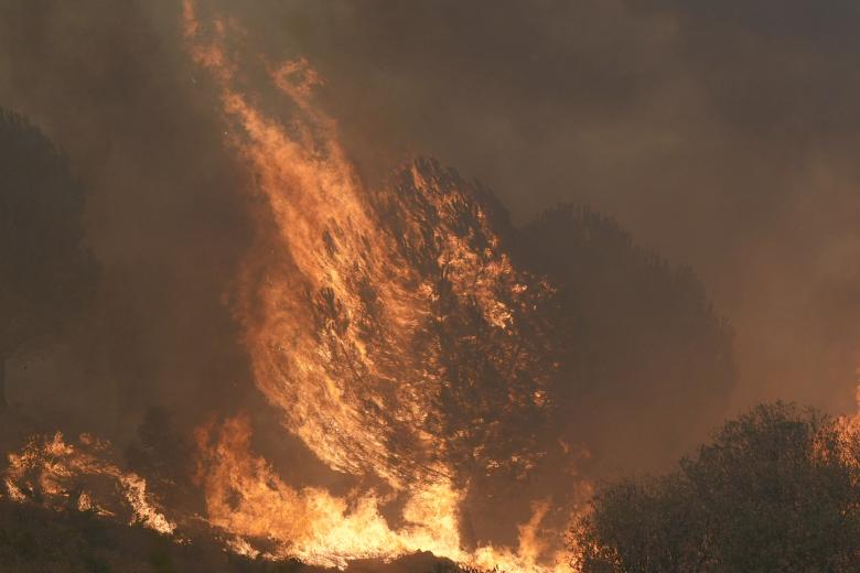 Las gigantescas llamas engullen la vegetación en el incendio de Burgohondo