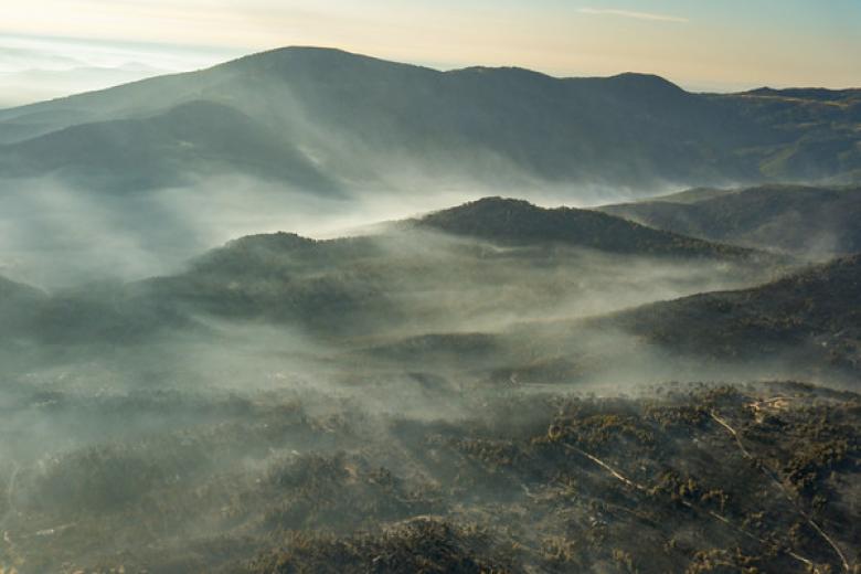 El incendio forestal que ha afectado gravemente a El Tiemblo (Ávila) se encuentra sin llamas visibles y en fase de estabilización y refresco. El fuego, originado inicialmente en Burgohondo, avanzó de forma agresiva obligando a declarar evacuaciones obligatorias y calcinando miles de hectáreas en la comarca.