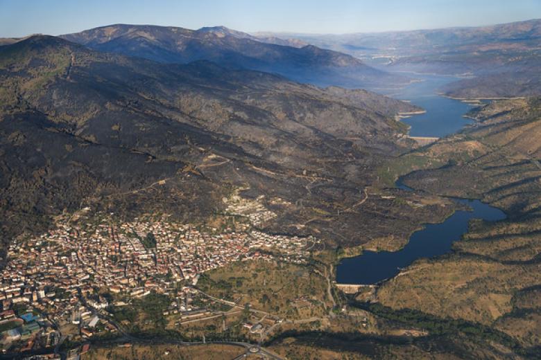 El gran incendio forestal de la Sierra Oeste ha calcinado el 74% del territorio del municipio de Pelayos de la Presa, dejando tras de sí un paisaje desolador con más de 7.000 hectáreas arrasadas en toda la comarca.