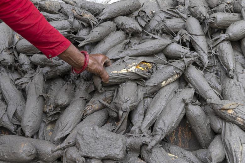 Una superviviente de las inundaciones recoge maíz cubierto de barro tras una riada repentina en la aldea de Devighat, distrito de Nuwakot (Nepal), el 27 de agosto de 2026