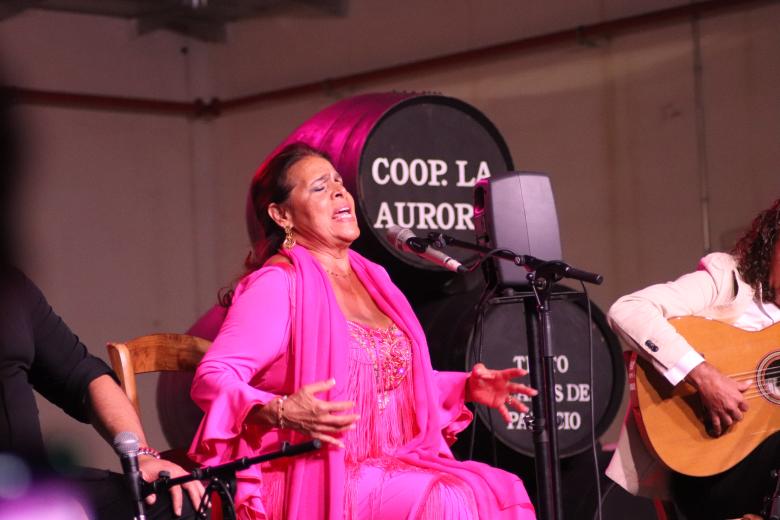 Cata Flamenca de Montilla 2026