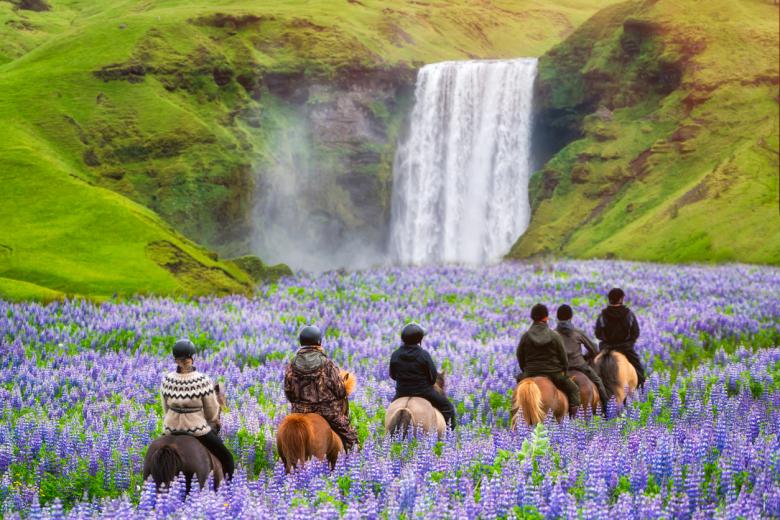 Skógafoss (Islandia)