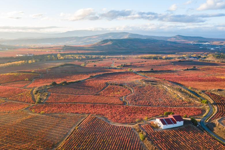 Viñedos de La Rioja en bicicleta