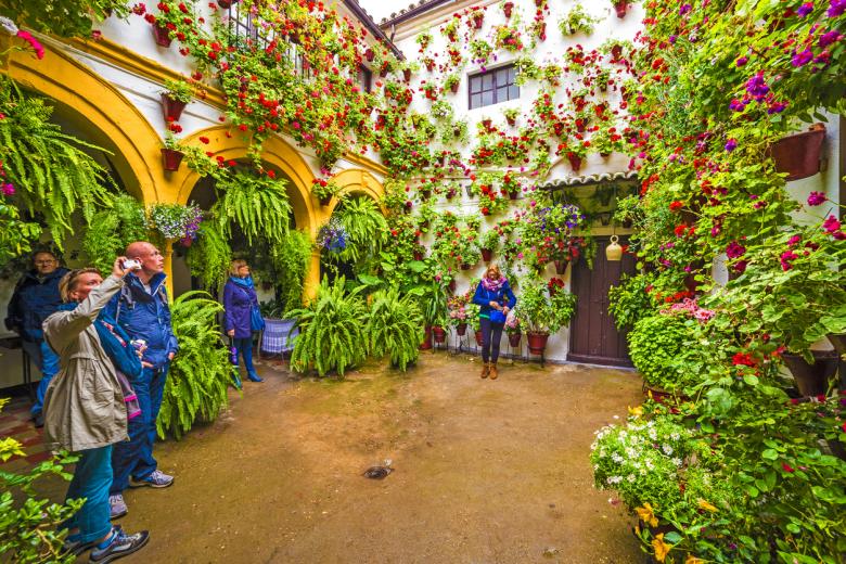 Los patios de Córdoba durante FLORA