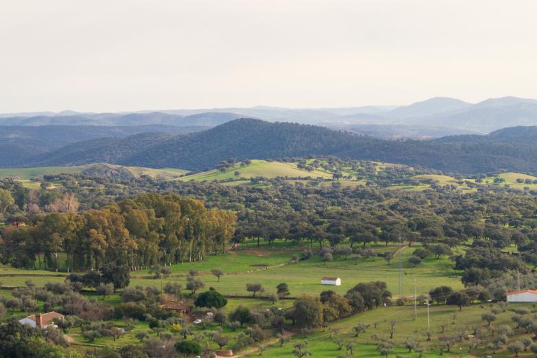 Los caminos de la sierra de Aracena (Huelva)