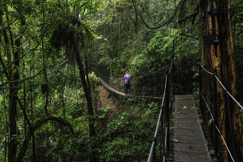 5. Adentrarse en el bosque nuboso de Monteverde (Costa Rica)