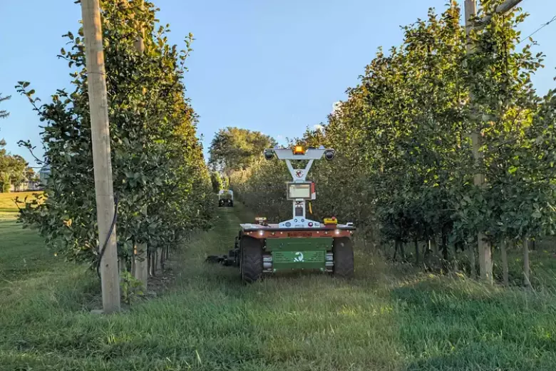 El robot agrícola multiusos, el Burro Grande 44, destaca por ser una máquina diseñada para transportar hasta 680 kg, remolcar hasta 2720 kg, cortar el césped, fumigar y patrullar, tanto en interiores como en exteriores.