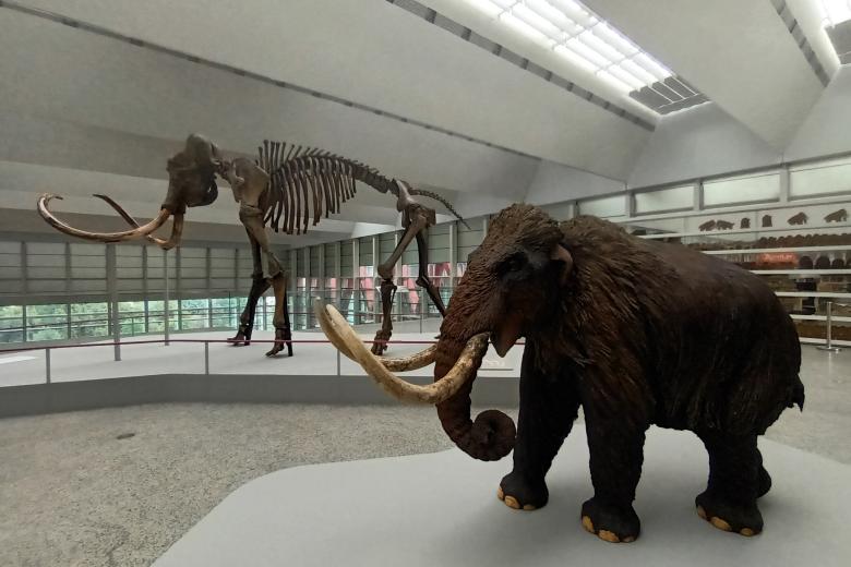 Burgos y Atapuerca