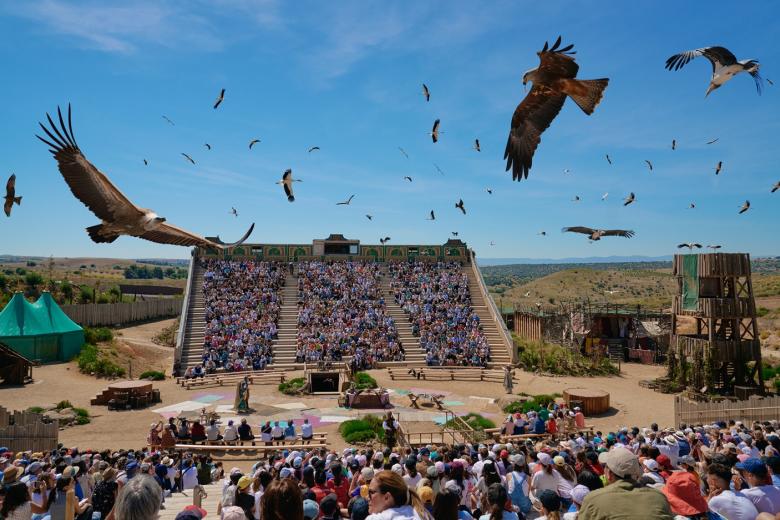 Toledo y Puy du Fou