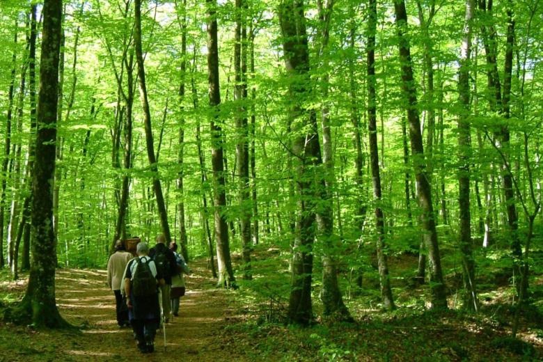 La Fageda d’en Jordà (Gerona)
