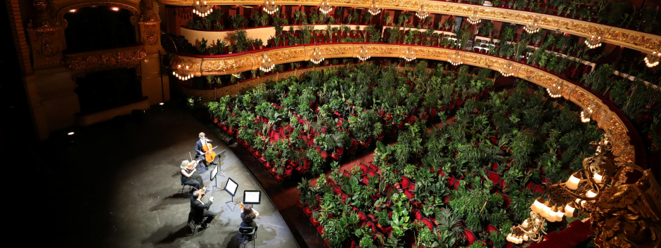 El Gran Teatro Liceu de Barcelona dio un concierto con plantas para conciencias de la importancia del público después del confinamiento, en junio de 2020.