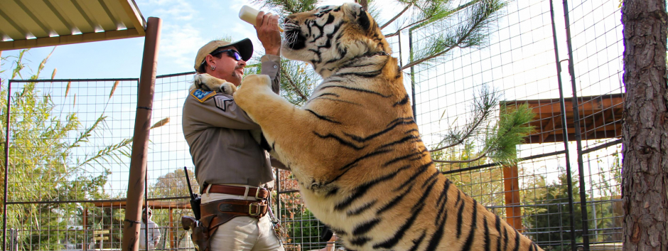 'Tiger King 2' se estrenará el 17 de noviembre en Netflix