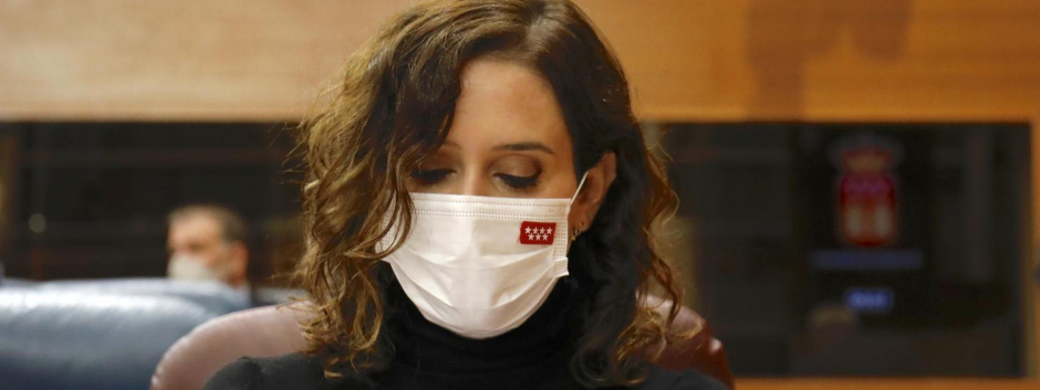 Isabel Díaz Ayuso, durante la sesión de control de este jueves en la Asamblea de Madrid.