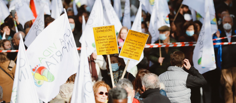Manifestación provida en Madrid, este mes de noviembre