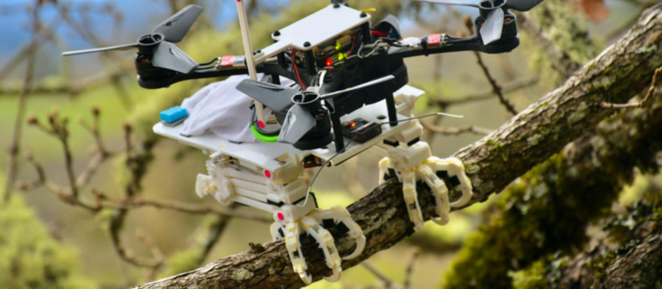 Imagen del robot Snag sobre una rama