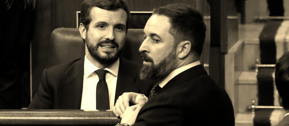 Pablo Casado y Santiago Abascal en el Congreso de los Diputados