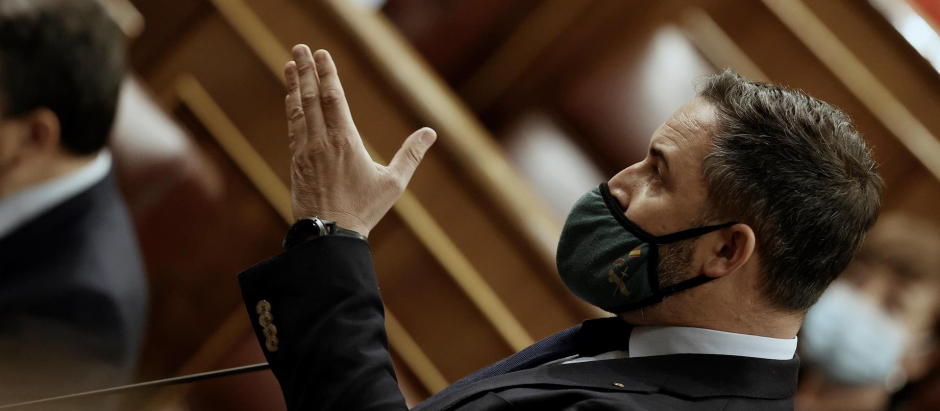 El líder de Vox, Santiago Abascal, en una sesión de control al Gobierno en el Congreso