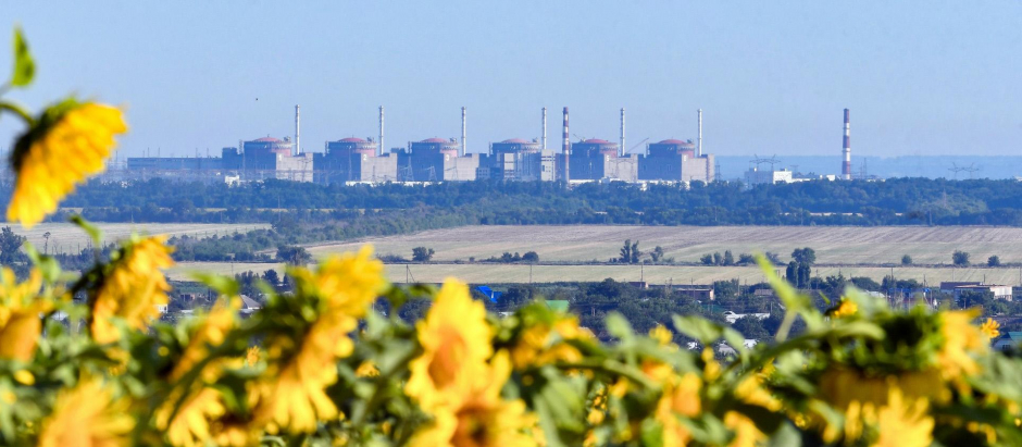 Six power units of the Zaporizhzhia Nuclear Power Plant which generate 40-42 billion kWh of electricity are seen in the distance behind the field of sunflowers, Enerhodar, Zaporizhzhia Region, southeastern Ukraine, July 9, 2019. Ukrinform. 
B355 electricity energy field industry nuclear power power unit sunflower Zaporizhzhia Nuclear Power Plant Zaporizhzhia NPP 
 

Zaporiyia