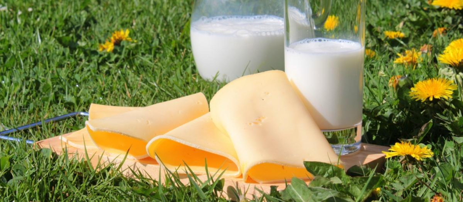 Productos lácteos, leche, queso