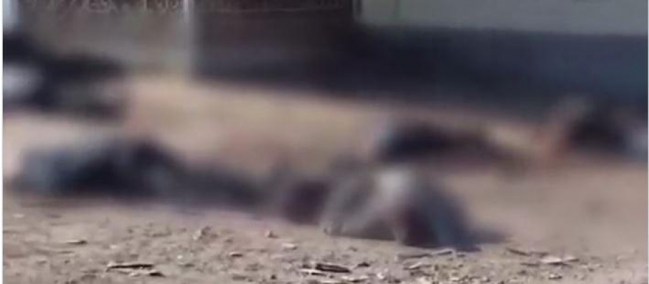 Una fotograma del vídeo compartido por las autoridades ucranianas