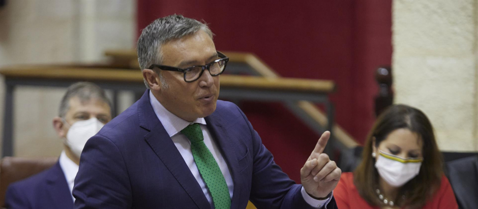 El portavoz del Grupo Parlamentario Vox, Manuel Gavira, durante la sesión plenaria ordinaria en el Parlamento de Andalucía