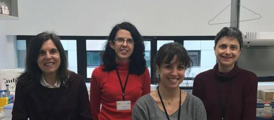 Desde la izquierda: María Ángeles Martín, Jara Pérez, Esther García y Sonia Ramos, investigadoras del CSIC