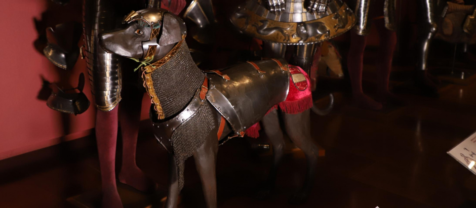 La armadura del perro del monarca se expone en la Real Armería del Palacio Real de Madrid