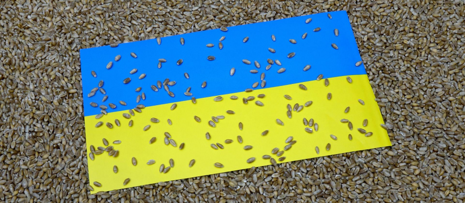 Una bandera ucraniana reposa sobre un montículo de trigo