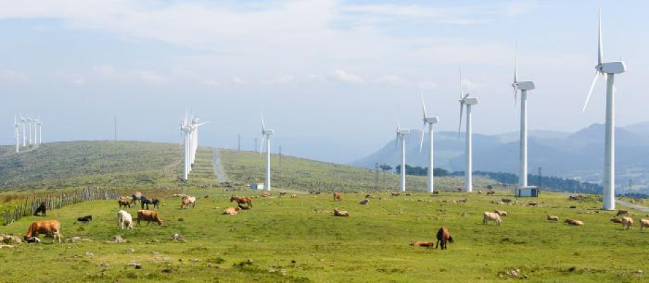 Molinos de viento en un prado en Galicia