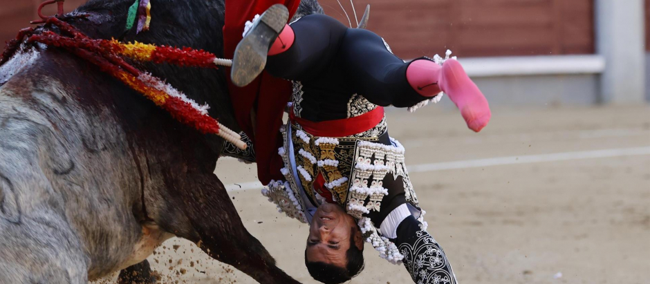 El diestro Emilio de Justo es cogido por el toro durante la corrida del Domingo de Ramos, en el coso taurino de Las Ventas, en Madrid