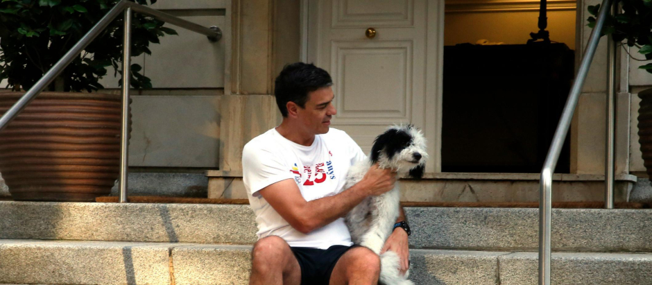 Pedro Sánchez junto a su perra Turca en la escalinata de La Moncloa