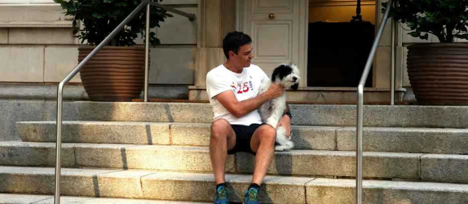 Pedro Sánchez junto a su perra Turca en la escalinata de La Moncloa