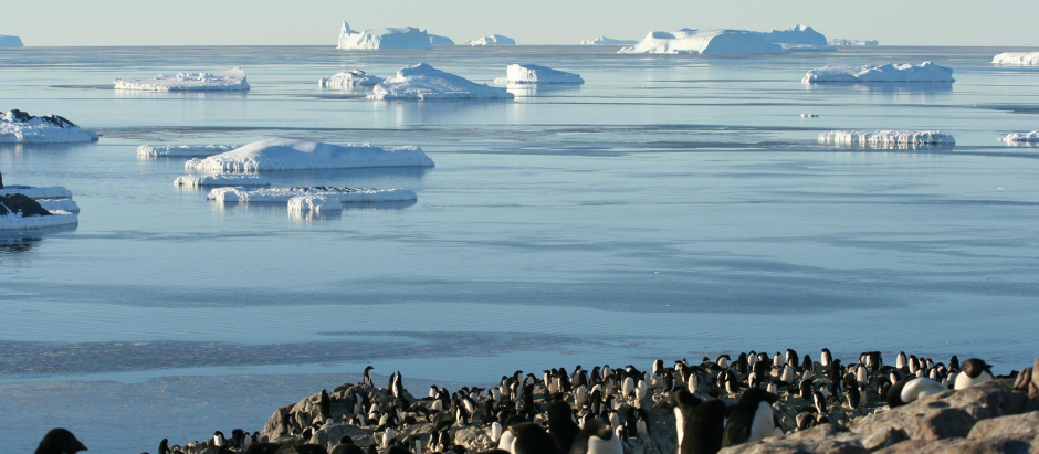 En la Antártida, el registro del hielo marino de abril fue la quinta marca más baja