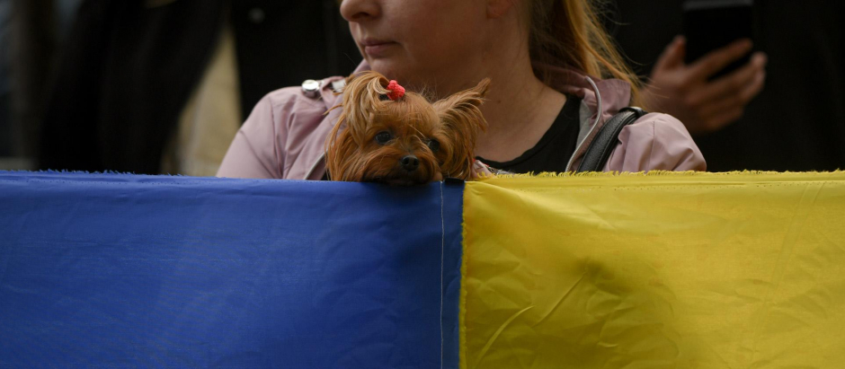 Refugiada ucraniana
