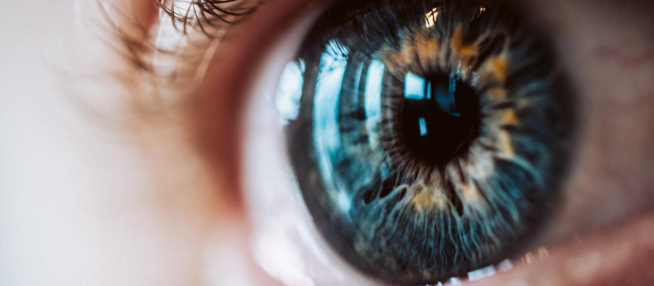 Las retinas 'post mortem' emiten señales eléctricas específicas