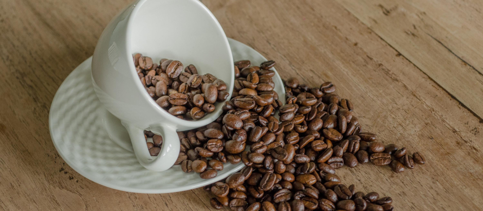 Los bebedores de café son más ricos y tienen una vida más saludable
