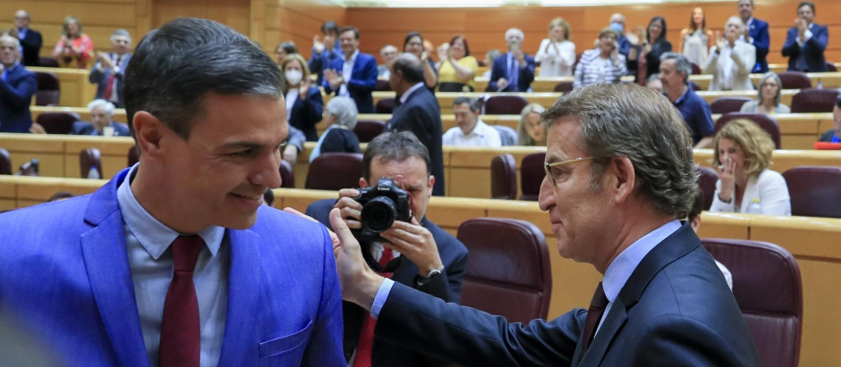 El presidente del gobierno Pedro Sánchez, y el líder del PP Alberto Nuñez Feijóo, durante la sesión de control este martes en la Cámara Alta en Madrid