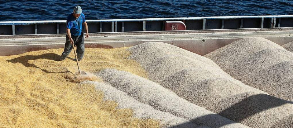 Actualmente se encuentran bloqueados en Ucrania mas de 20 millones de toneladas de cereal