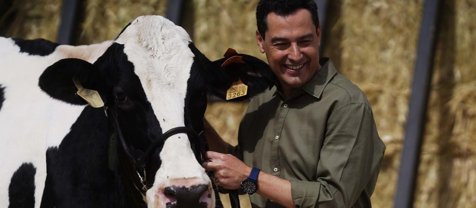 El presidente de la Junta de Andalucía , Juanma Moreno , se ha reencontrado hoy miércoles con Fadi, la vaca talismán que según él 