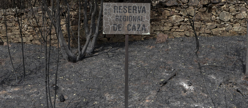 -Vista general de los daños producidos por el incendio en Villardeciervos (Zamora), en la sierra de la Culebra