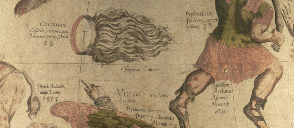 Caballera de Berenice o Coma Berenice en el globo celeste de Mercator de 1551