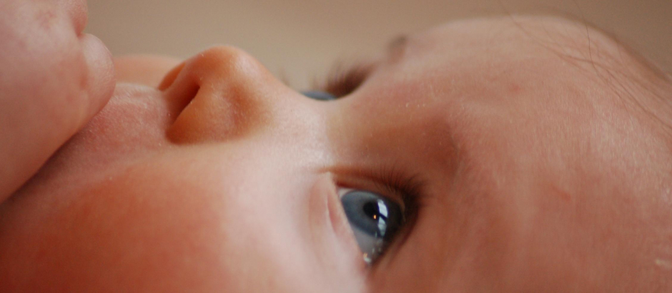 La investigación muestra que los bebés de ocho meses utilizaban la mirada para castigar conductas agresivas de terceros
