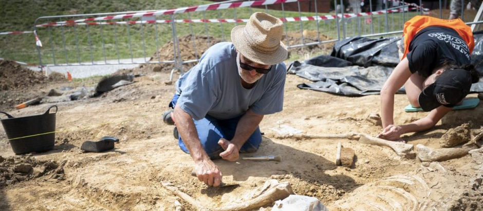El arqueólogo de AWaP Dominique Bosquet excavando los huesos.