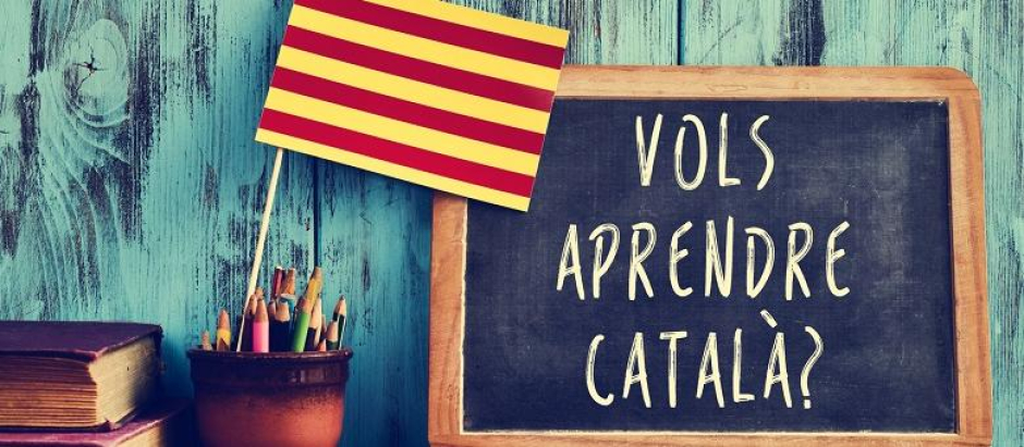 Inmersión lingüística en catalán