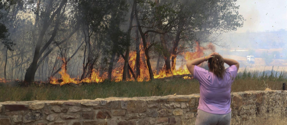 Una mujer observa las llamas del incendio forestal registrado en la comarca de Tábara