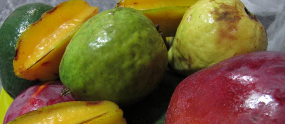 Frutas del Caribe