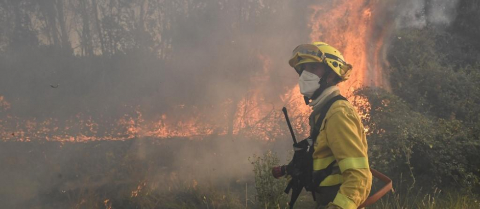 Un bombero ayuda en las tareas de extinción del incendio de Zamora