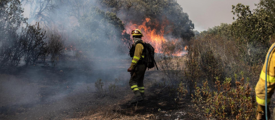 Varios bomberos trabajan en la extinción del fuego del incendio de Losacio, a 18 de julio de 2022, en Tábara, Zamora