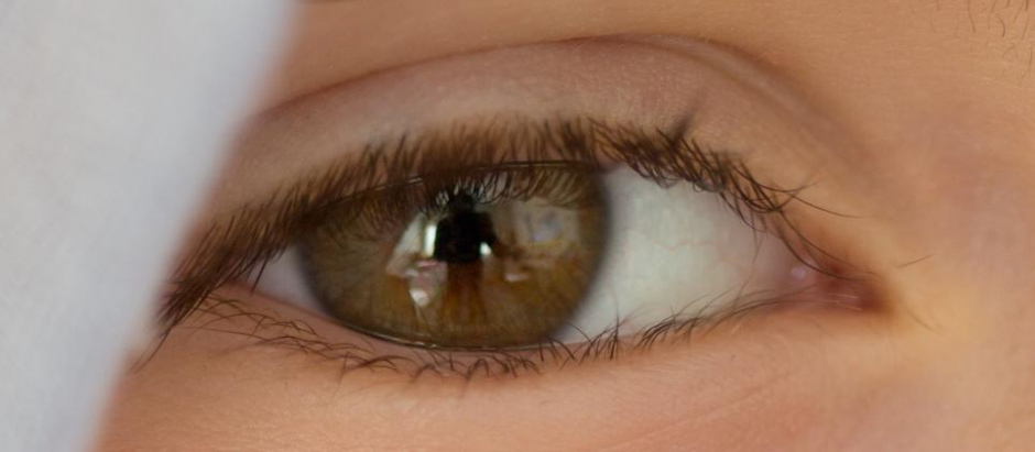 La córnea es una parte fundamental del ojo