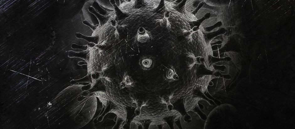 Para controlar la infección por el VIH se requiere una respuesta inmune potente mantenida en el tiempo